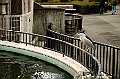 ueno park 47